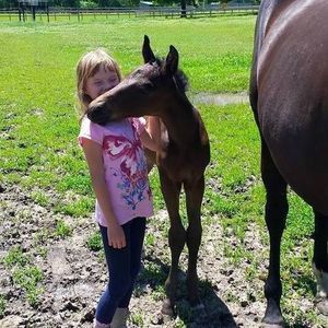 Meet your Posher, Jodi